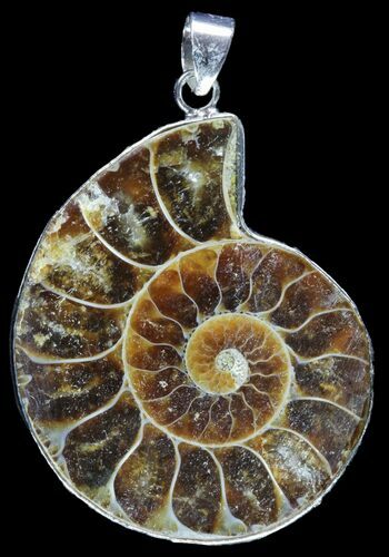 Fossil Ammonite Pendant - Million Years Old #89861